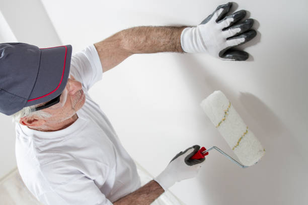 Best Commercial Mold Inspection  in Burnsville, NC