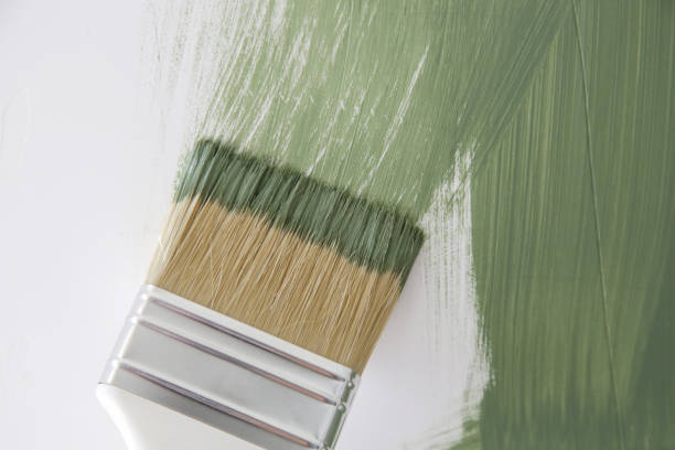 Professional Mold Removal in Burnsville, NC