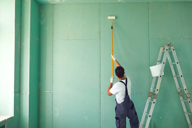 Best Mold Removal for HVAC Installations  in Burnsville, NC