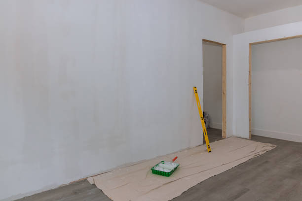 Biohazard Mold Removal in Burnsville, NC