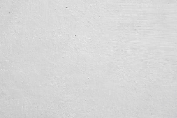 Best Mold Remediation for Rental Properties  in Burnsville, NC