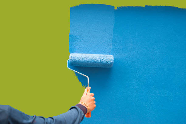 Best Basement Mold Removal  in Burnsville, NC