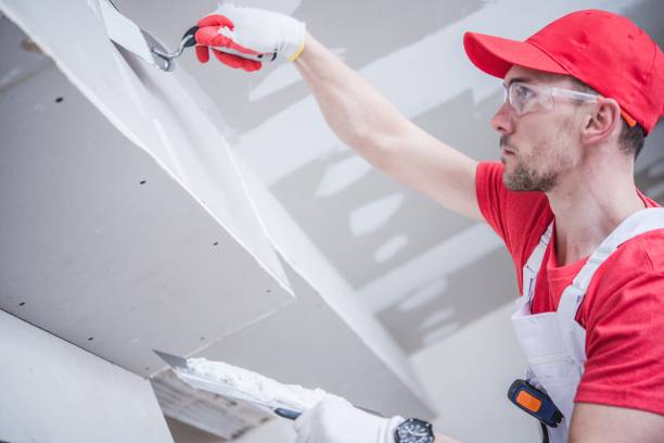 Best Forensic Mold Investigation  in Burnsville, NC