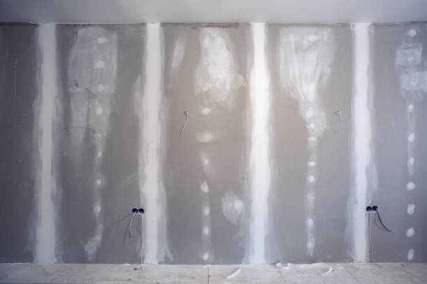 Best Mold Remediation for Healthcare Facilities  in Burnsville, NC