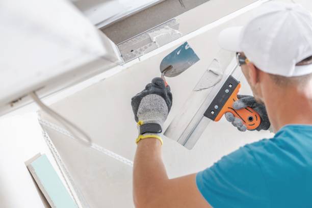 Best Emergency Mold Remediation  in Burnsville, NC
